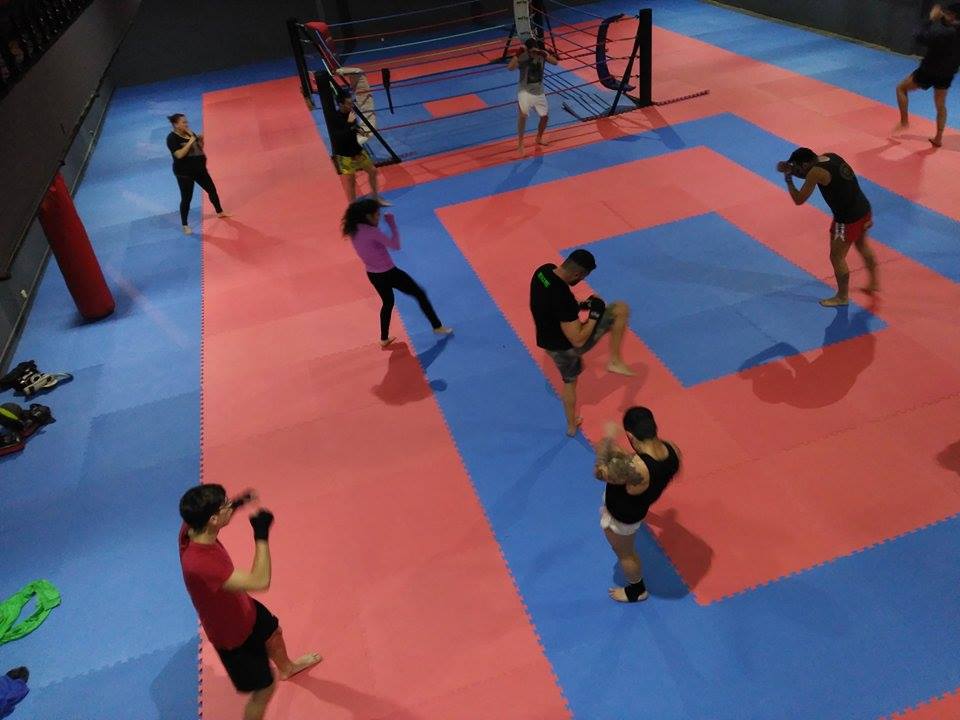 Grupo de alumnos desarrollando ejercicios de técnica de combate.