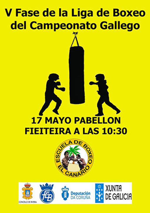 Afiche publicitario de la V Jornada de la liga Infantil/Discapacidad Funcional/Veteranos en A Fieiteira de Ribeira.